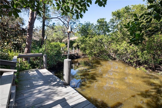 dock area featuring a water view