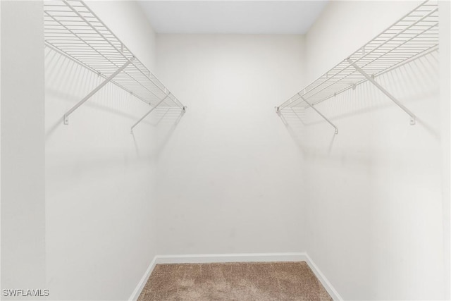 walk in closet with carpet