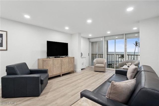 living room featuring light hardwood / wood-style flooring and expansive windows