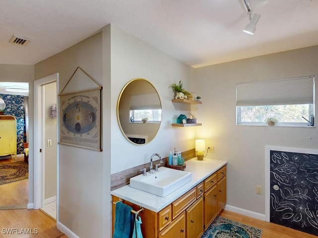 bathroom with hardwood / wood-style flooring and vanity