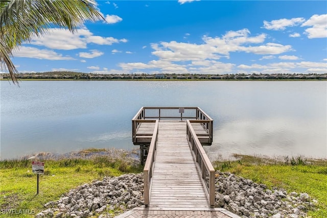 dock area with a water view