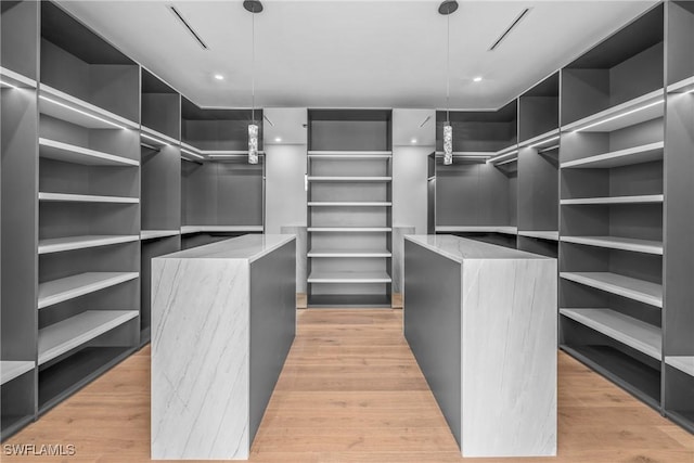 spacious closet with light wood finished floors