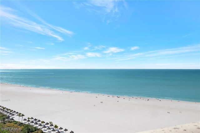 property view of water featuring a beach view