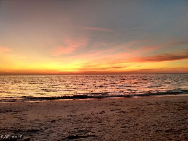 water view featuring a beach view