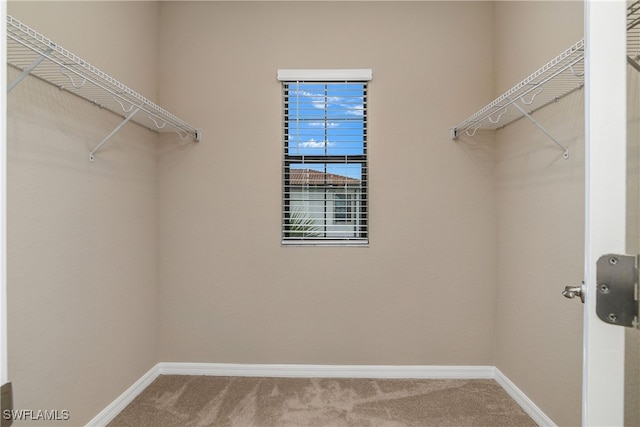 spacious closet with carpet