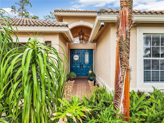 doorway to property featuring a tile roof and stucco siding