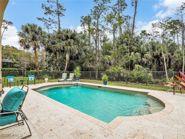 view of pool featuring a patio