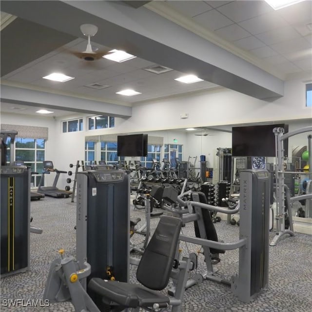 workout area with crown molding, carpet, and a drop ceiling