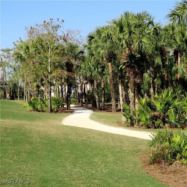 view of home's community with a lawn