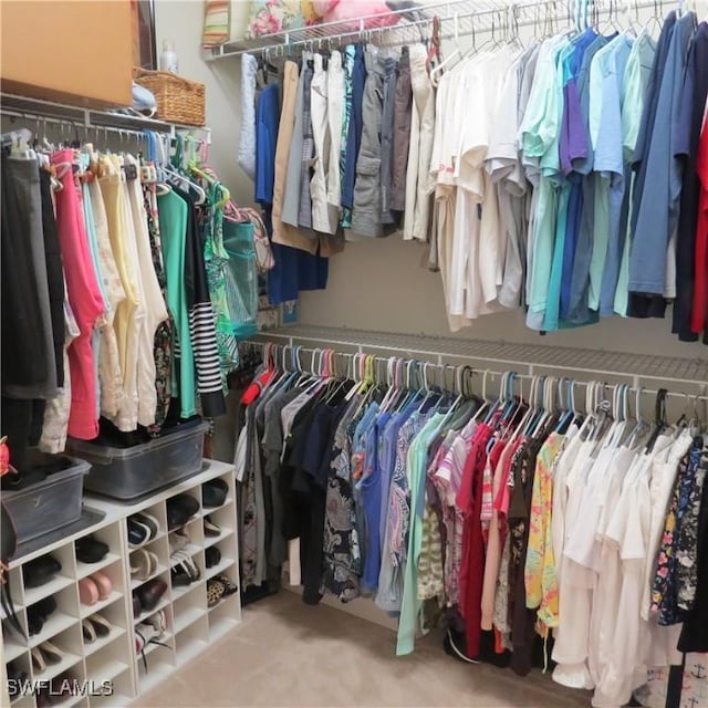 view of walk in closet