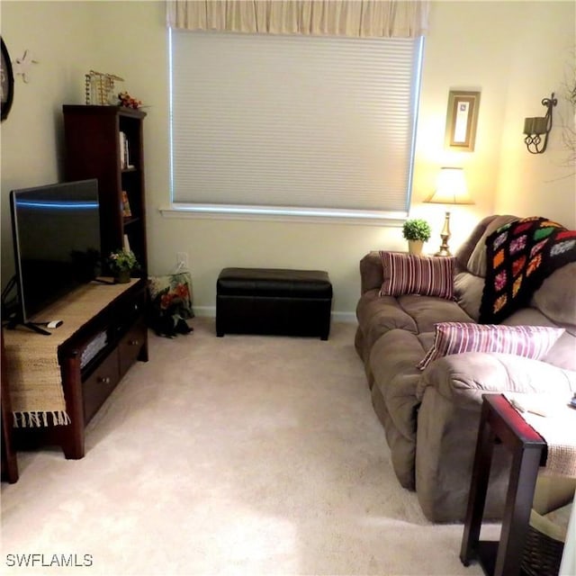 living room with light carpet