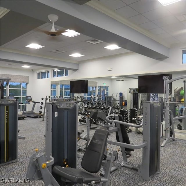 8874 Horned Lark Dr, Naples, FL 34120 - workout area featuring visible vents, a drop ceiling, and carpet