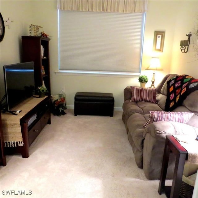 8874 Horned Lark Dr, Naples, FL 34120 - living room featuring carpet