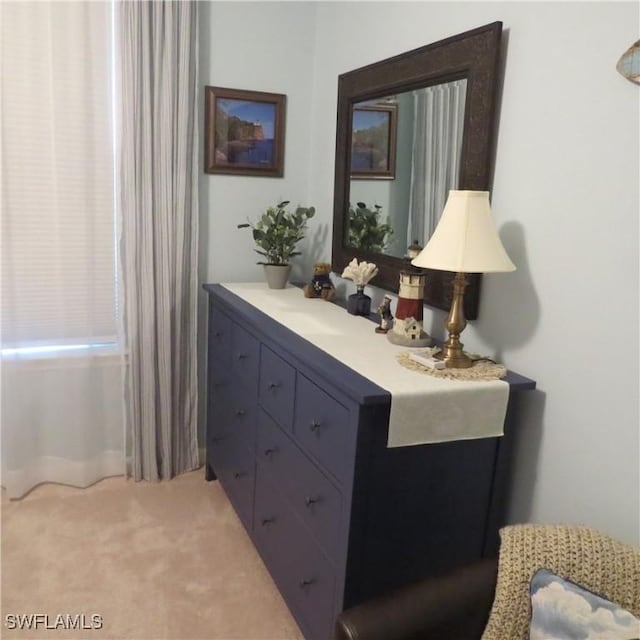 8874 Horned Lark Dr, Naples, FL 34120 - bathroom featuring vanity