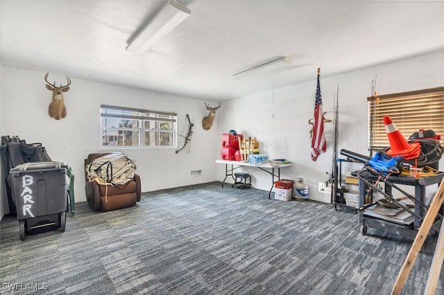 interior space with dark colored carpet