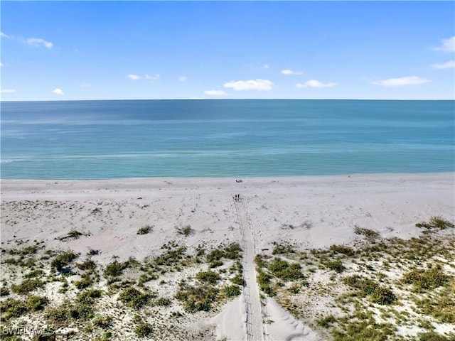 view of water feature featuring a beach view