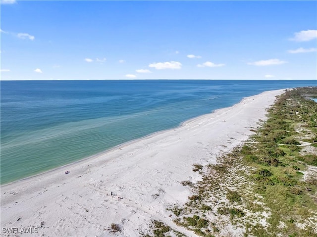 property view of water featuring a view of the beach