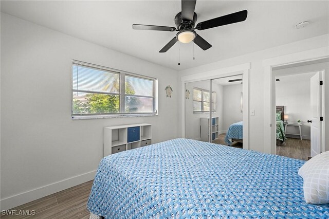 bedroom with dark hardwood / wood-style flooring, a closet, and ceiling fan