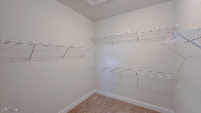 walk in closet with carpet floors