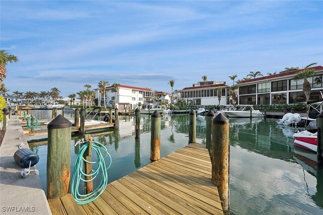 dock area with a water view