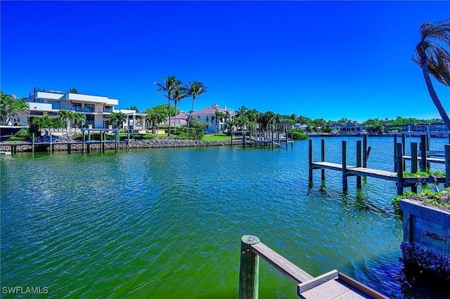 dock area with a water view