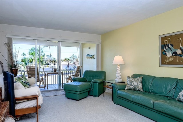 living room featuring carpet floors