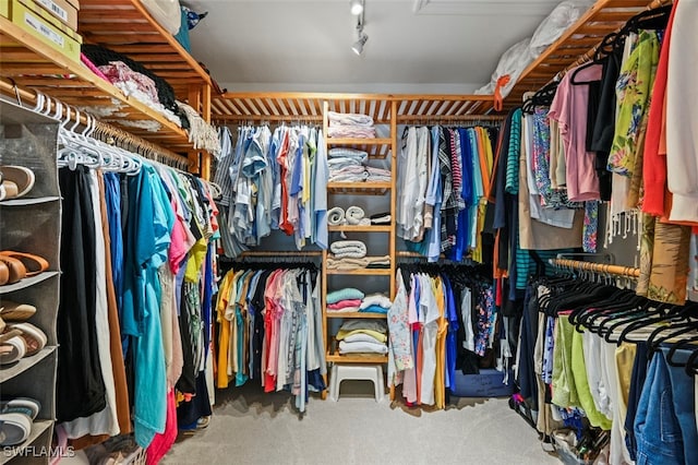 spacious closet featuring carpet