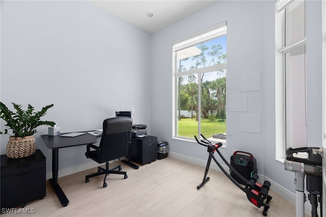 office featuring a wealth of natural light and light wood-type flooring