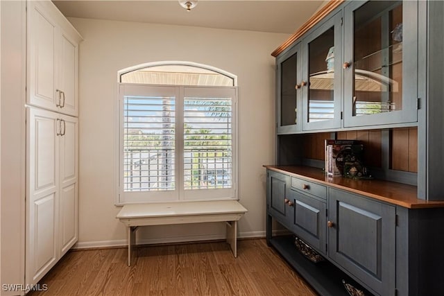 interior space with white cabinetry, wood-type flooring, and gray cabinetry