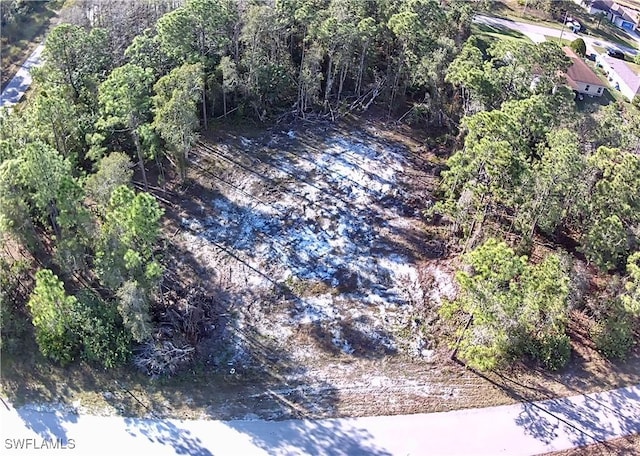 920 Hooper Ave, Lehigh Acres FL, 33974 land for sale