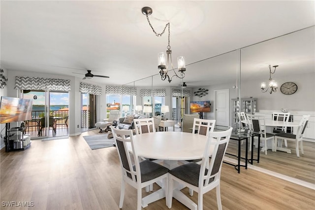 dining area featuring ceiling fan with notable chandelier and light hardwood / wood-style floors