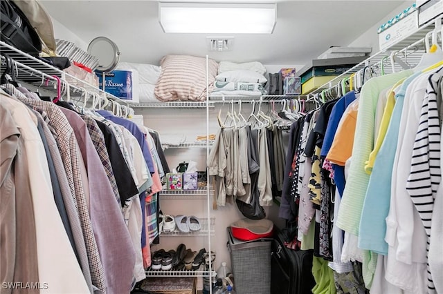 view of spacious closet