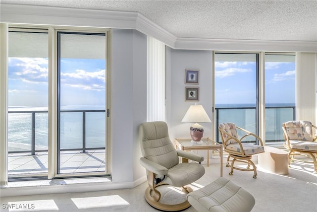 living area featuring a wealth of natural light, a textured ceiling, crown molding, and carpet