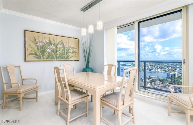 dining area featuring a water view, a textured ceiling, ornamental molding, and carpet flooring