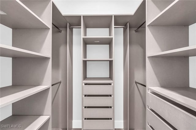 view of spacious closet