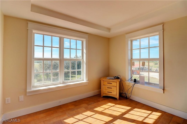 empty room featuring a tray ceiling, light hardwood / wood-style flooring, and a healthy amount of sunlight