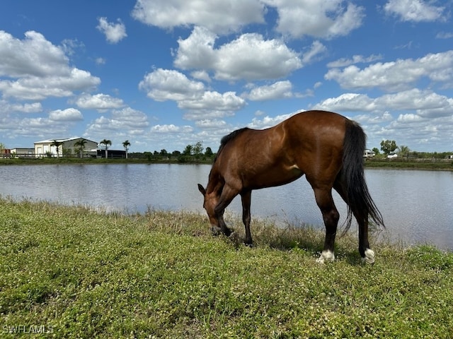 property view of water