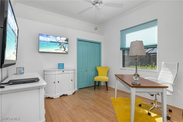 office with light hardwood / wood-style flooring, ceiling fan, and ornamental molding