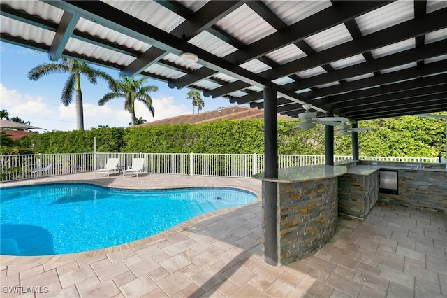 view of swimming pool with a patio