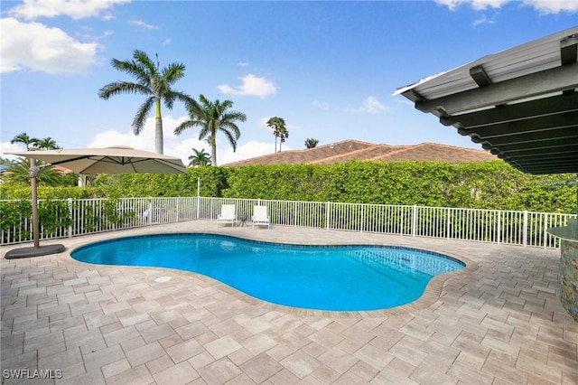 view of swimming pool featuring a patio area