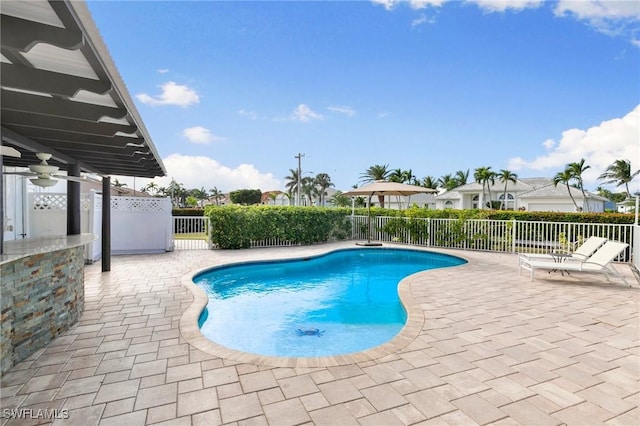 view of pool with a patio area