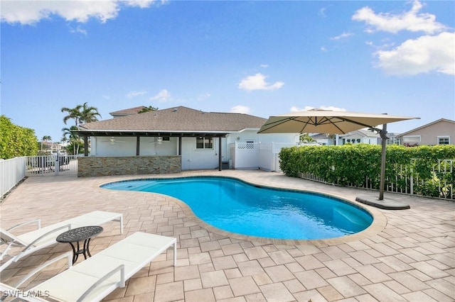 view of pool featuring a patio