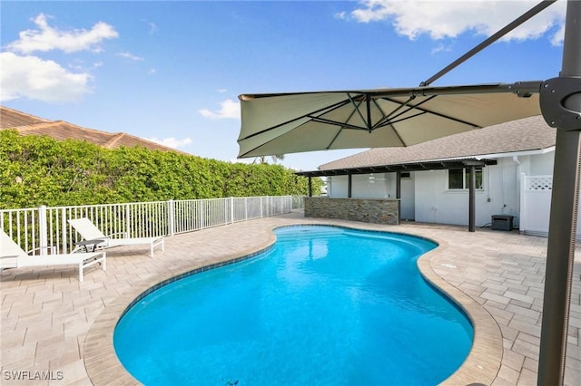 view of swimming pool with a patio