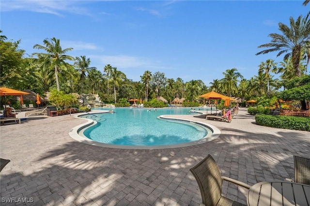 view of pool featuring a patio