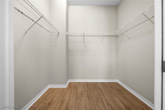 spacious closet featuring hardwood / wood-style floors