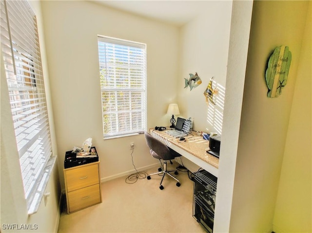 office space with carpet flooring