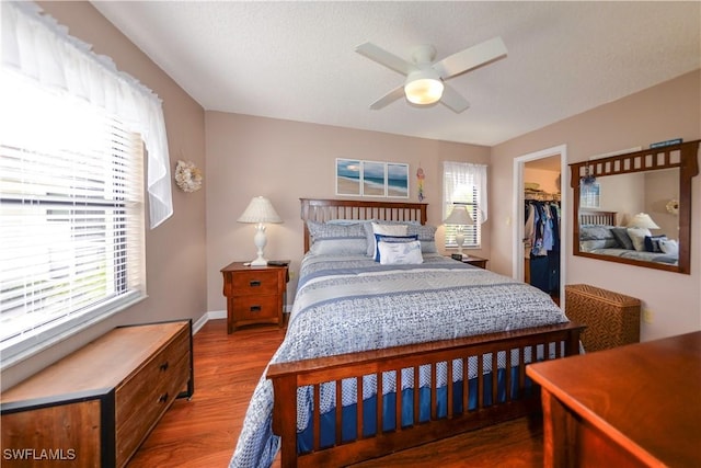 bedroom with ceiling fan, a closet, a spacious closet, and dark hardwood / wood-style floors