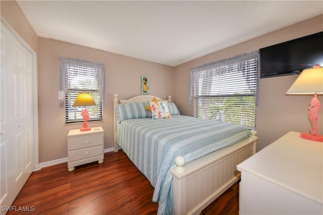 bedroom featuring dark wood-type flooring and a closet