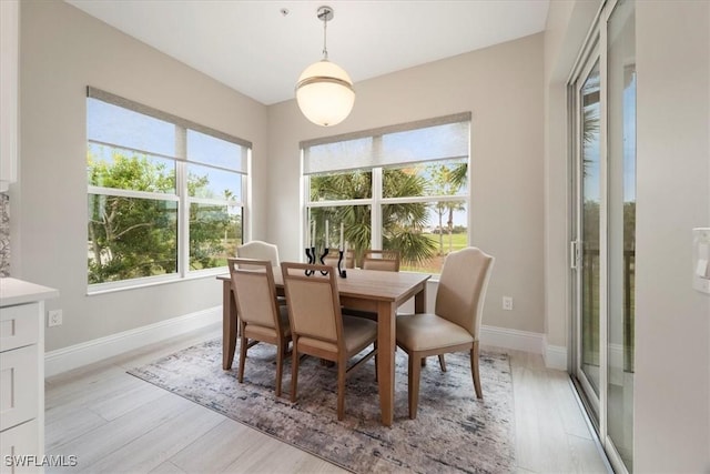 dining room with light hardwood / wood-style flooring and a wealth of natural light