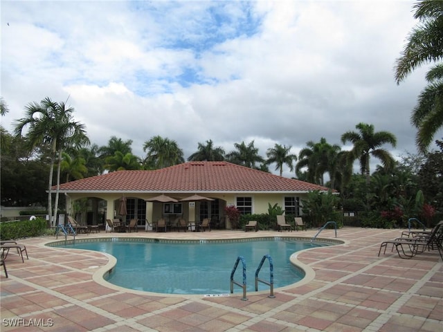 view of pool featuring a patio